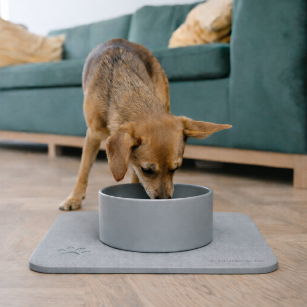 Drinkbak voor hond en kat met sneldrogende diatomietmat en antislip bodem