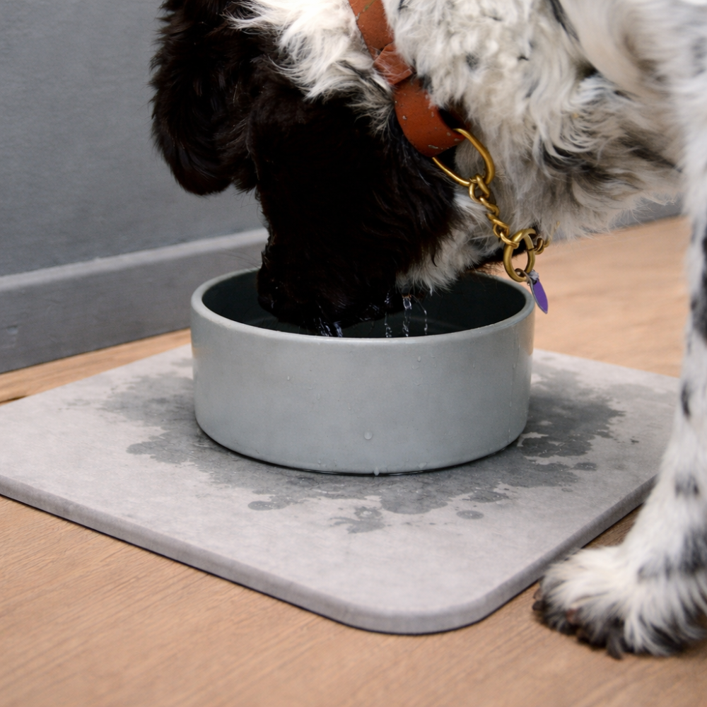 Drinkbak voor hond en kat met sneldrogende diatomietmat en antislip bodem
