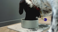 Drinkbak voor hond en kat met sneldrogende diatomietmat en antislip bodem